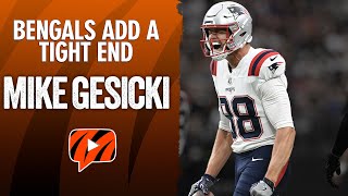 Bengals Signing Tight End Mike Gesicki  Instant Reaction [upl. by Adelbert132]