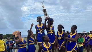 Cheerleading Montclair House Winners Happy Grove High School 💙💙💙 2023 [upl. by Aikemet]