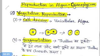 Reproduction in Blue green Algae Cyanophyceae [upl. by Cai]