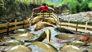 Using bamboo to make fish traps using the ancient method The boy caught a lot of fish [upl. by Anile954]