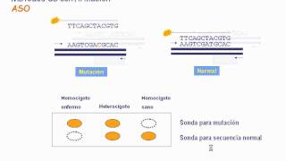 Detección de mutaciones por ASO y MLPA [upl. by Akedijn]