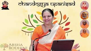 The Journey of a Dying Person  An excerpt from Chandogya Upanishad [upl. by Aneer]