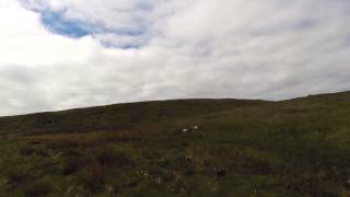 Lomond Hills [upl. by Deering]