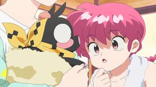 Ranma 12 Fun Moments English Dub P2 [upl. by Anaek]