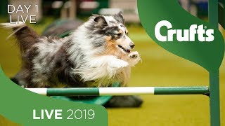 Day 1 Live  Crufts 2019 [upl. by Pazia]