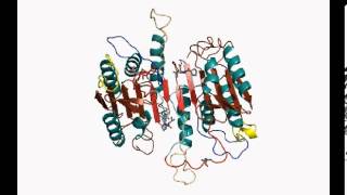 Procaspase3 conformational change [upl. by Trillbee]