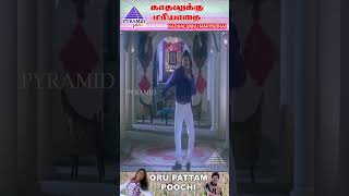 Oru Pattam Poochi Video Song  Kadhalukku Mariyadhai Movie Songs  Vijay  Shalini  ytshorts [upl. by Ttennaj840]