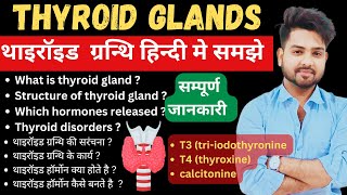 Thyroid gland anatomy amp physiology in Hindi  functions  structure  hormones  parathyroid [upl. by Iney812]