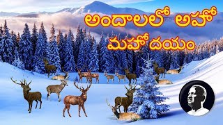 Andalalo aho mahodayam  అందాలలో అహో మహోదయం  Ilaiyaraaja  Jagadeka Veerudu Athiloka Sundari [upl. by Linette931]