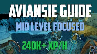 Runescape 3  Aviansies guide  240400k XPh Midlevel [upl. by Zamora281]