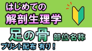 【はじめての解剖生理学】足の骨について [upl. by Katharina]