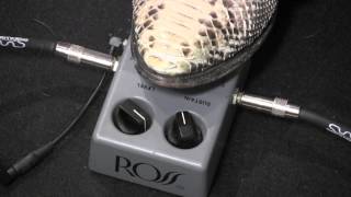 ROSS gray box Compressor guitar pedal demo with Strat amp Plexi [upl. by Halimak]