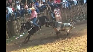 El ausente  Cornea dos caballos  Torneo de lazo sotuta yucatan 2017 [upl. by Acinnad13]