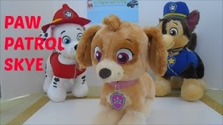 Build A Bear Paw Patrol Skye Demonstration [upl. by Borer]