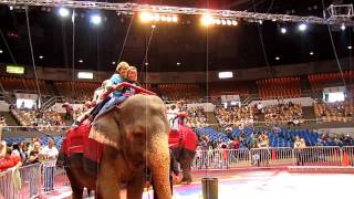 Shrine Circus  Elephant Rides 5 of 10 [upl. by Akimad]