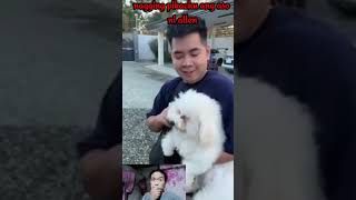 Sir geybin ginawang pikachu ang aso ni Allen si cloud giejulesdusayendogdogdoglover [upl. by Rabka]