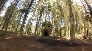 Trip to Silvas Capitalis aka the Sylvan Head in Kielder Forest [upl. by Nawotna]