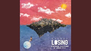 Losing Vintage Culture amp Jørd Remix [upl. by Attelrac606]