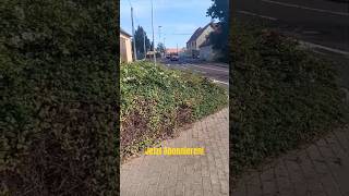 Einsatzfahrt  TSFW FF Könnern OF Bebitz  RTW DRK RW Bernburg  Kurzvideo [upl. by Ymme]