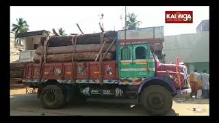 Rath Yatra 2019 1st phase preparations begin for annual Car Festival  Kalinga TV [upl. by Burnard708]