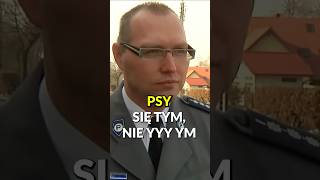 LEGENDARNY PIES śmieszne rozrywka wywiad news policja wybory polska polonia [upl. by Ahsaele]