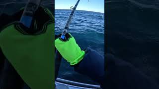 November Pollock Fishing fishing cod deepseafishing [upl. by Zelten]