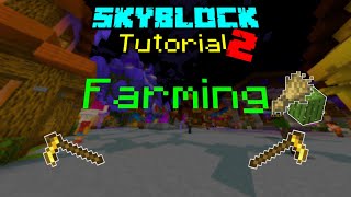 Farming Guide zu Hypixel Skyblock  Part 2 [upl. by Thun]