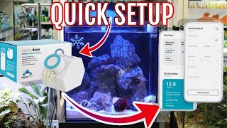 Easy Setup of Aquavitro Sentia Doser on UNS 40A All in on reef system [upl. by Oballa]