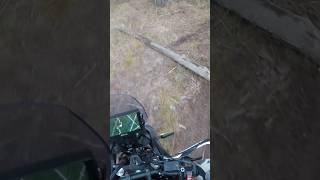 Tenere 700 forest ride advbike tenereoffroad adventuremotorcycle offroad tenere660 dualsport [upl. by Faxan228]