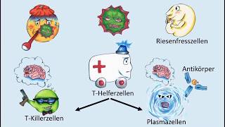 Wie funktioniert unser Immunsystem [upl. by Michaele988]