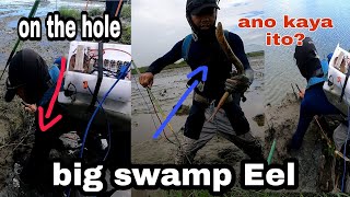 ANG PAKIKIPAGDIGMA Ng KIWET  PAGDUDUKOT SA BUTAS  swamp Eel  RICE EEL [upl. by Ferren]