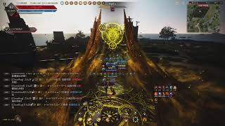 Black Desert20241007011355 [upl. by Ttennaej]