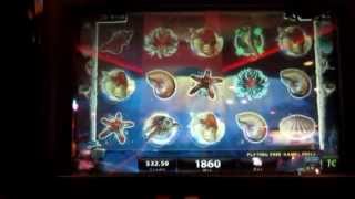 IGT  Mystical Mermaid Returns Massive Win Over 1000x and 90 spins [upl. by Naaitsirhc]