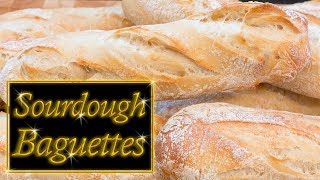 Sourdough Baguettes easy step by step [upl. by Annawot937]