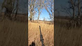 Big Quail Coveys to start bird season off hunting birdhunting quailhunting shorts [upl. by Manton493]