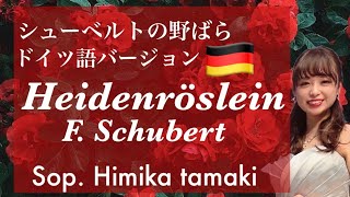 Heidenröslein  Schubert【シューベルト『野ばら』ドイツ語】Sop Himika Tamaki [upl. by Abelard]