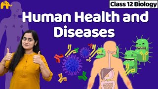 Human Health and Diseases Class 12  Biology NCERT Chapter 7 One Shot  CBSE NEET [upl. by Oric]