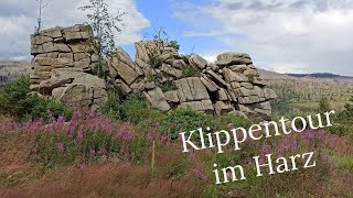 Schnarcherklippen  Mäuseklippen  Wandern im Harz  Juli 2024  WanderVLOG [upl. by Leuas]