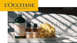 Shea Butter Hand Care  Creating  LOCCITANE en Provence [upl. by Hsirt]