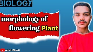 Function of ROOT and SHOOT systembiology [upl. by Nylzzaj978]