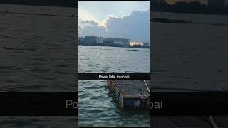 Powai lake mumbai latest ytshort shorts mumbai powai iit mumbai [upl. by Flita608]