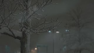 RAW VIDEO Snow accumulation continues in Lone Tree CO [upl. by Zetnom453]