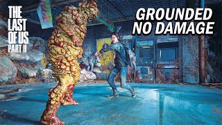 The Last of Us 2 PS5 Aggressive Gameplay  Bloaters Boss Fight  Grounded  No Damage   4K60FPS [upl. by Amieva809]