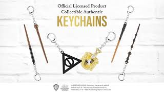 Harry Potter Iconic Key Chains🧙‍♂️ [upl. by Nnaeinahpets]