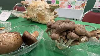 Fungus Fair 2022 Highlights [upl. by Yorel]