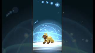 Evolving Shiny Poochyena in pokemongo pokemon shinypokemon [upl. by Sully]