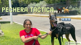 Pechera Táctica Para Perro🐕 [upl. by Lemert98]