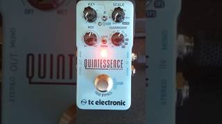 TC Electronic Quintessence [upl. by Benson39]