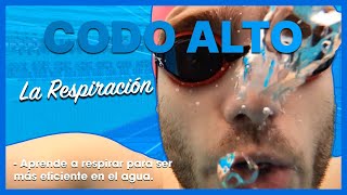 ▷ Aprende a NADAR desde 0 🏊  La RESPIRACIÓN 🗣 [upl. by Lika]