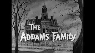 The Addams Family Theme  BroampSis Cover [upl. by Finlay]